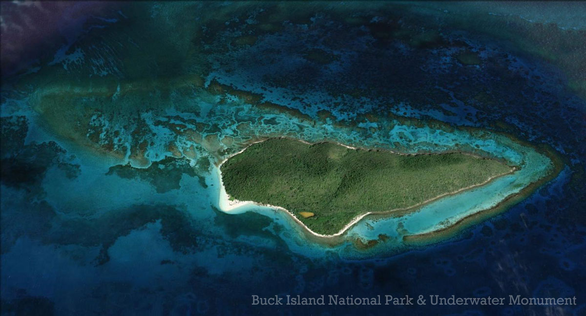 Buck Island St Croix Snorkeling Beaches