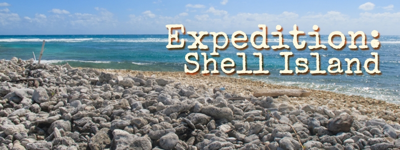 Expedition Shell Island
