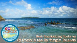 Best Snorkeling St Croix Virgin Islands