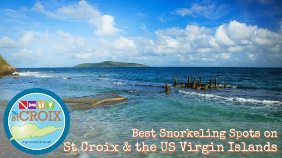 Best Snorkeling St Croix Virgin Islands
