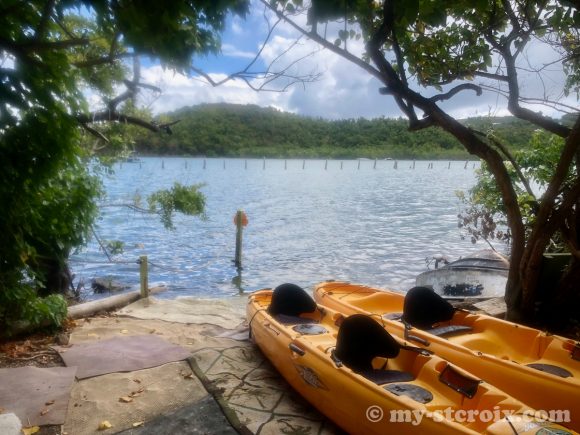 Kayaking St Croix | St Croix USVI Travel Guide Virgin Islands