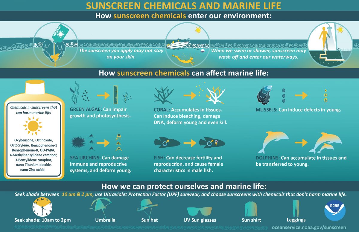 Sunscreen Chemicals and Marine Life Infographic