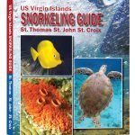 US Virgin Islands Snorkeling Guide