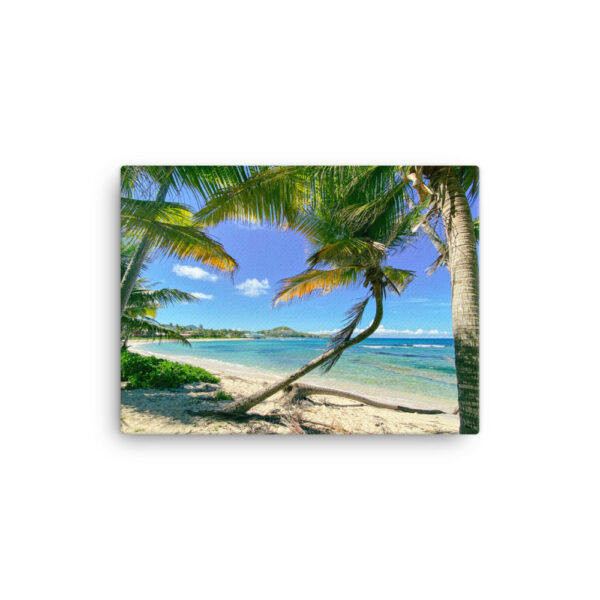 Palm Trees at Pelican Cove Beach Canvas