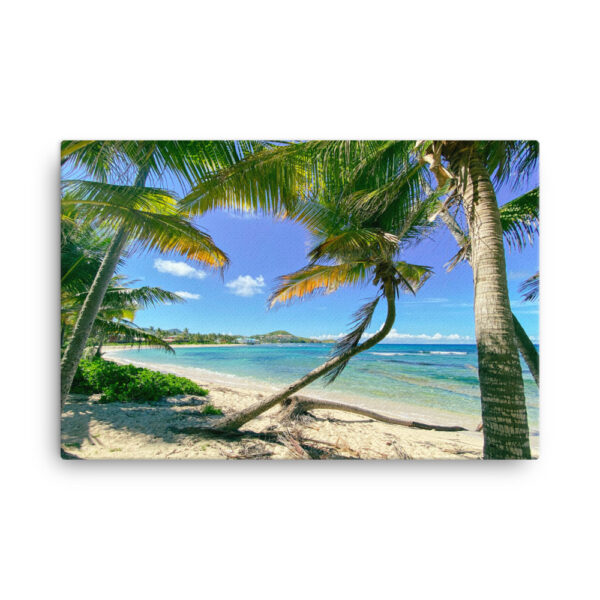 Palm Trees at Pelican Cove Beach Canvas - Image 3