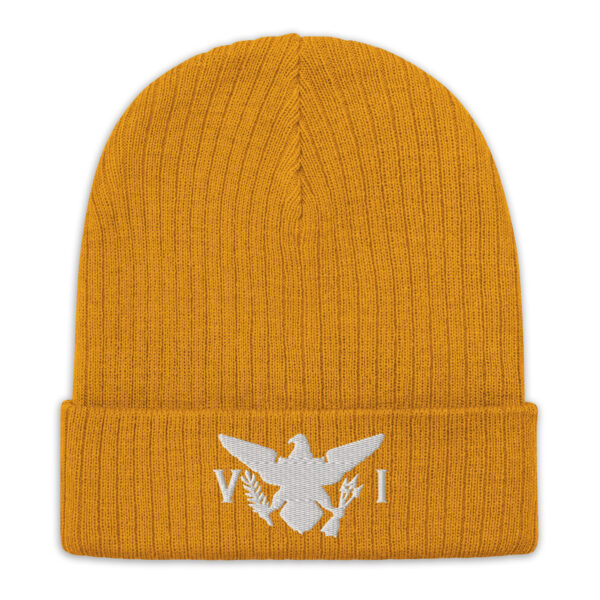 USVI Flag Recycled Ribbed knit beanie - Image 6