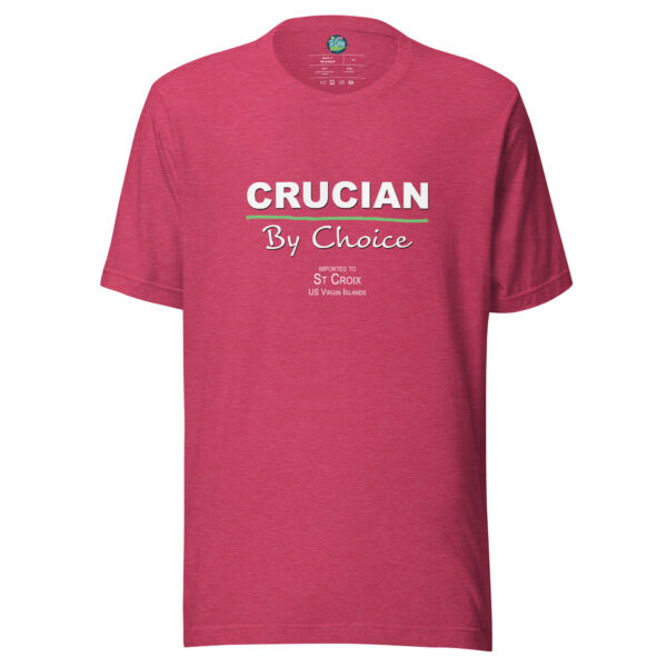 Crucian by Choice Unisex t-shirt - Image 8