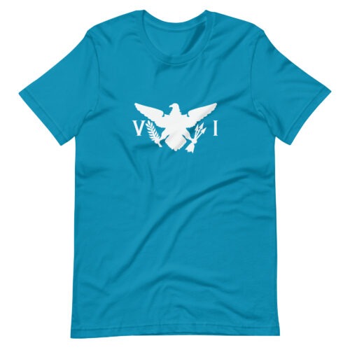 USVI Eagle Unisex t-shirt