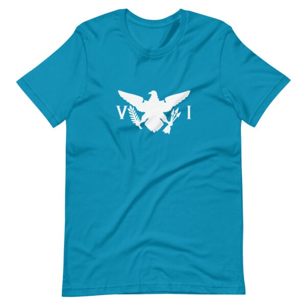 USVI Eagle Unisex t-shirt