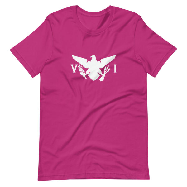 USVI Eagle Unisex t-shirt - Image 6