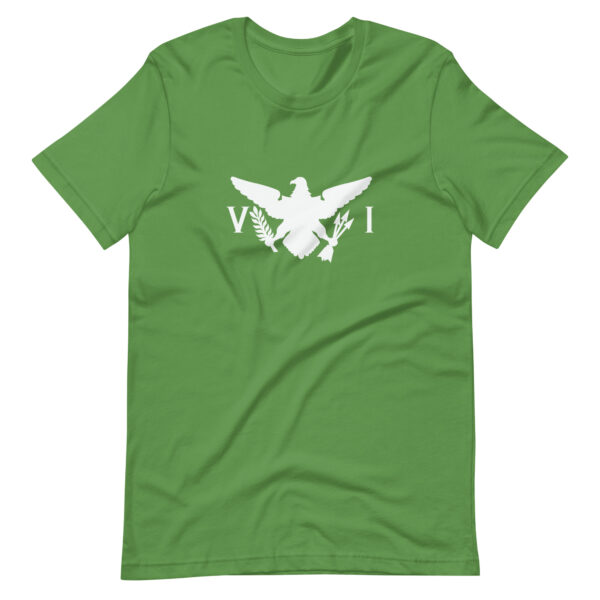 USVI Eagle Unisex t-shirt - Image 8