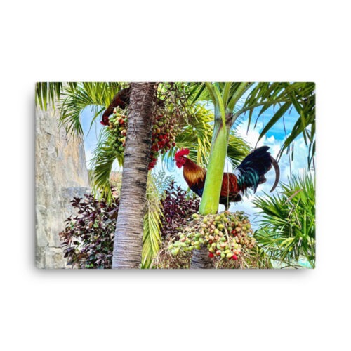 Roosters in Palm 24″×36″ Canvas