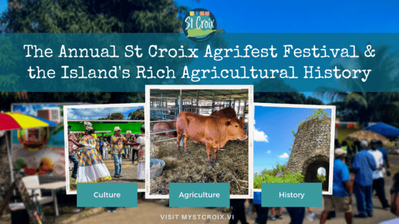 The Annual St Croix Agrifest Festival and the Island's Rich Agricultural History