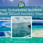 Uncover Underwater Wonders on a Buck Island Snorkel Tour
