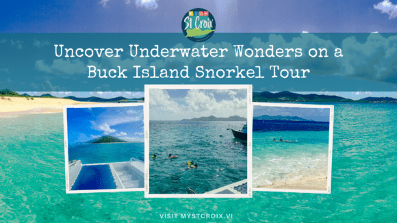 Uncover Underwater Wonders on a Buck Island Snorkel Tour
