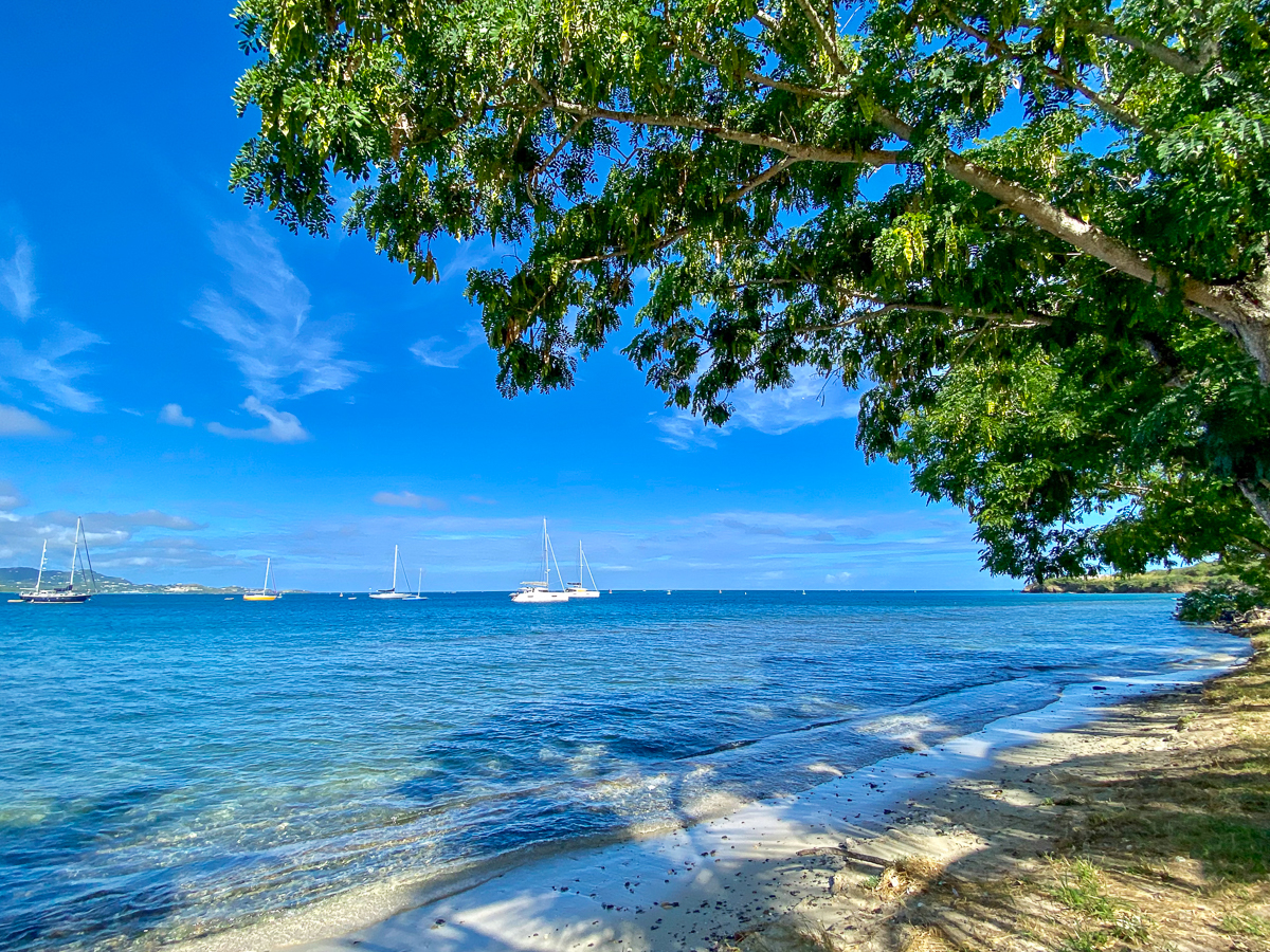 altona lagoon park and little bay