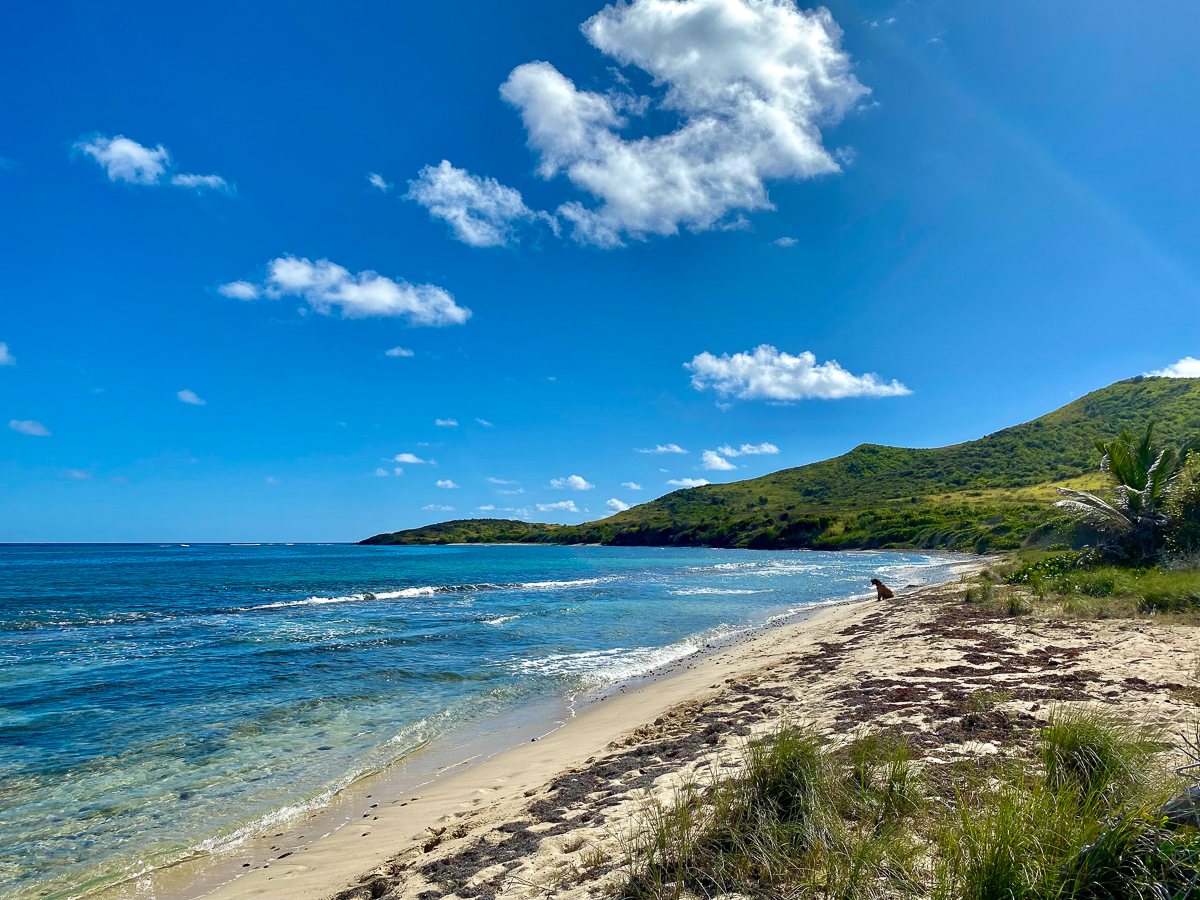 boiler bay beach