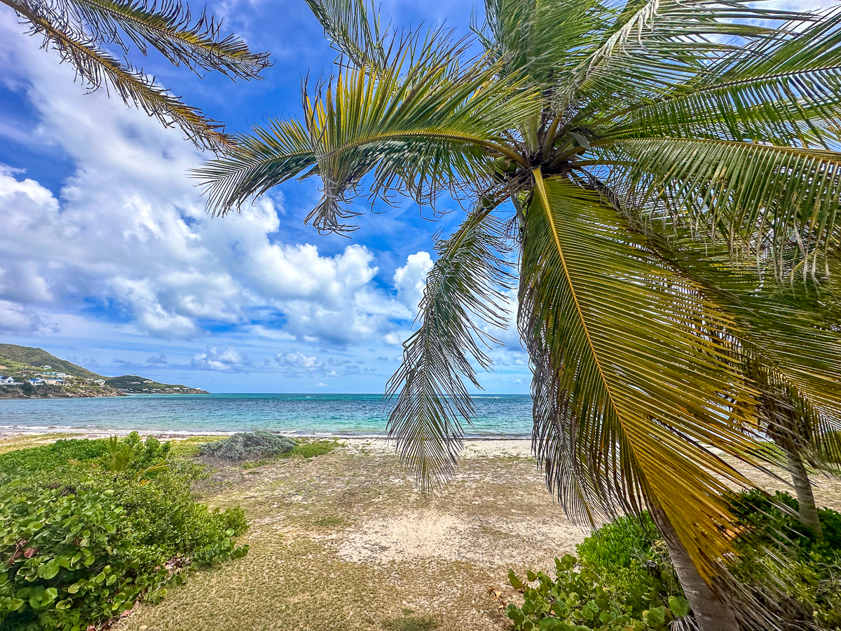 grapetree beach st croix beaches