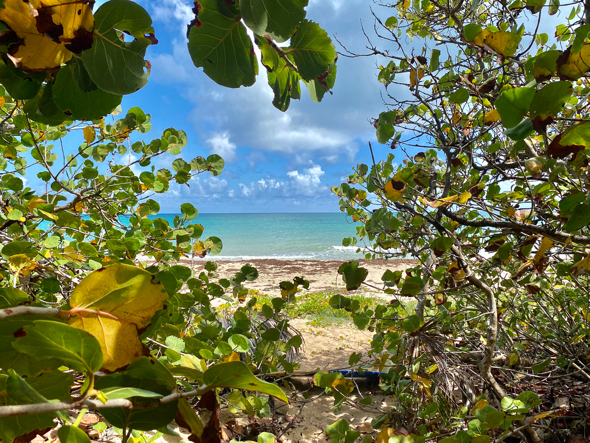 ha'penny beach st croix beaches guide