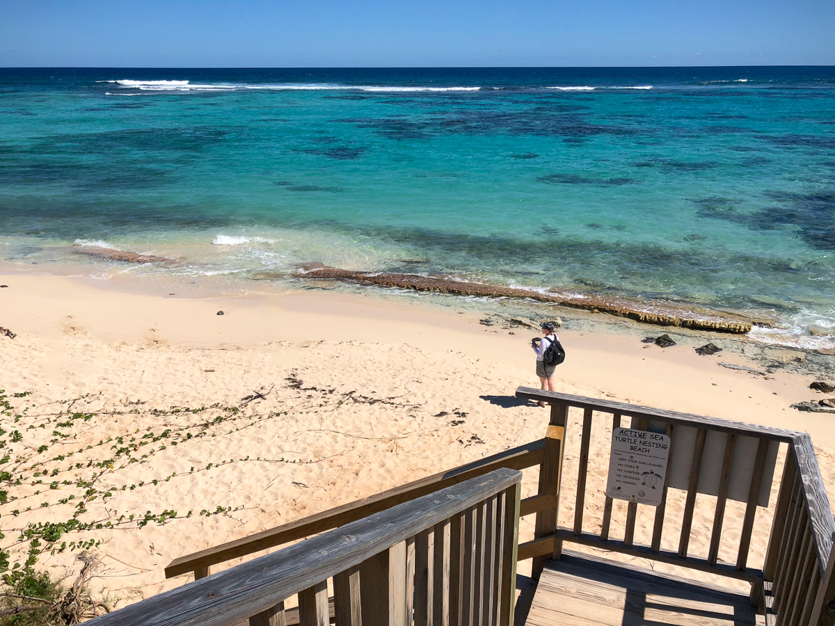 isaac bay nature preserve st croix beaches guide