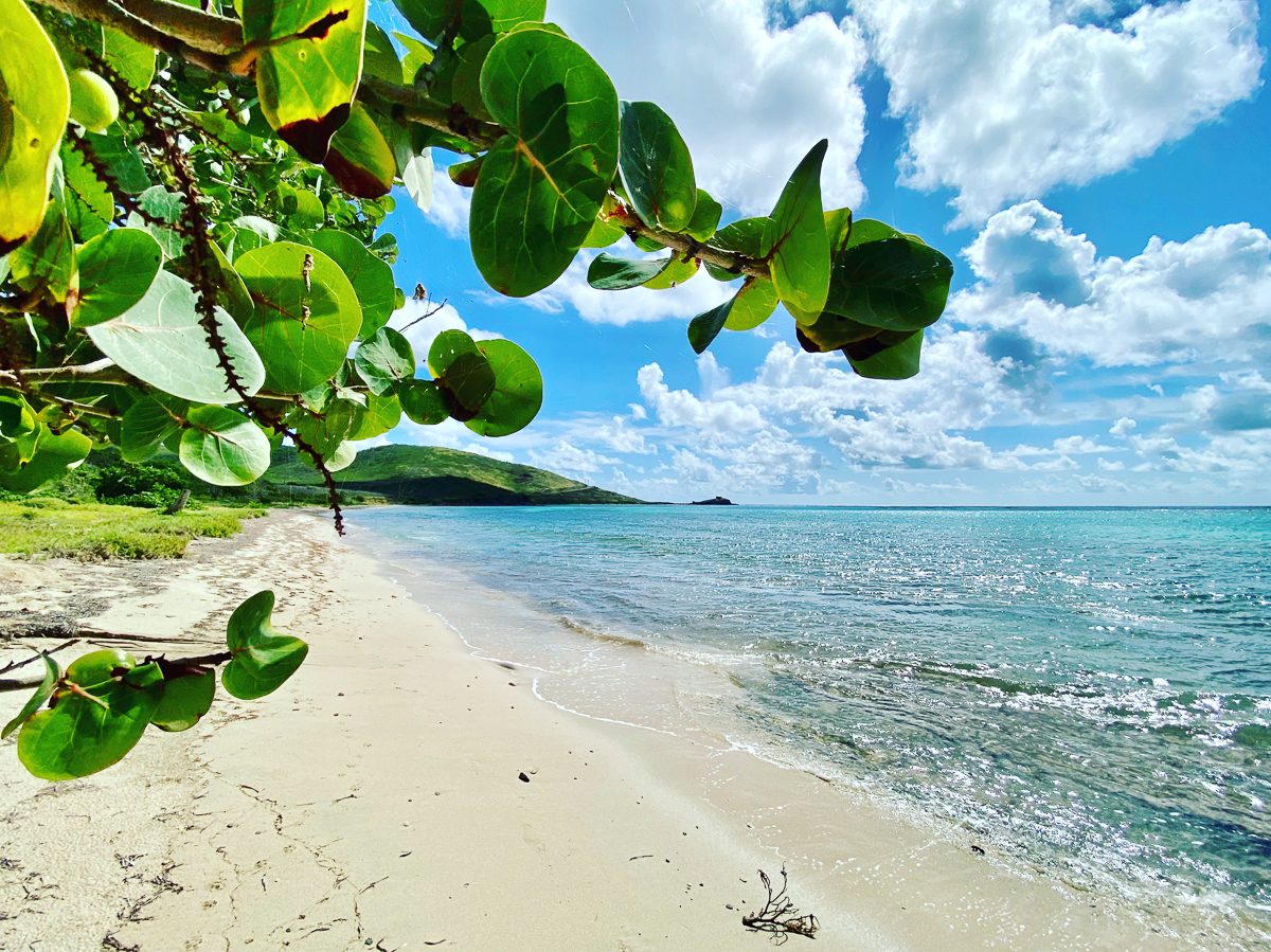 woodcottage bay st croix beaches guide