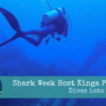 Shark Week Host Kinga Philipps Dives into St Croix