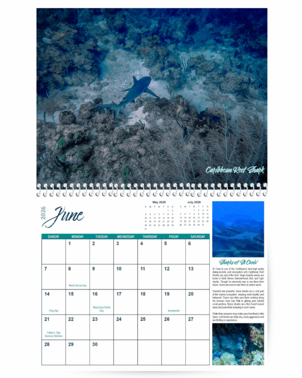 2026 St Croix Photo Calendar June