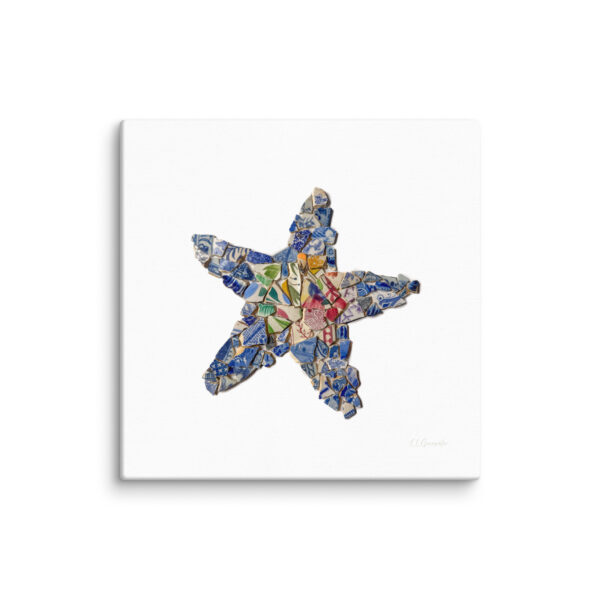 Chaney Starfish Canvas - Image 3