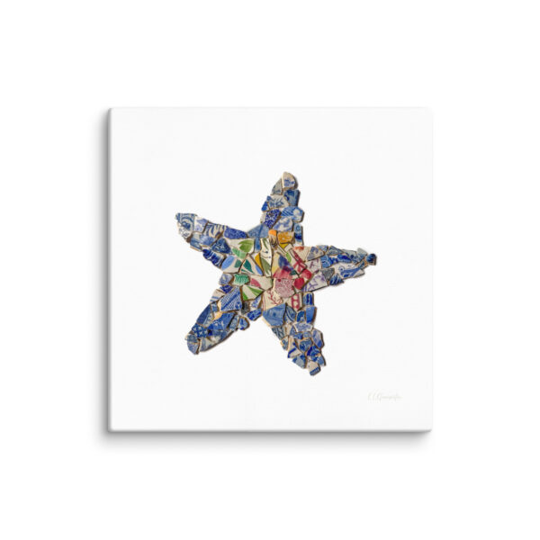Chaney Starfish Canvas - Image 4