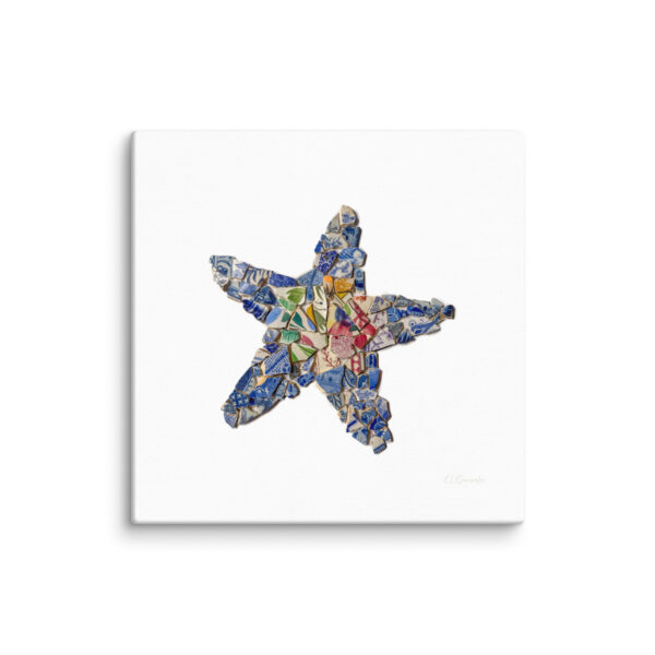 Chaney Starfish Canvas - Image 5