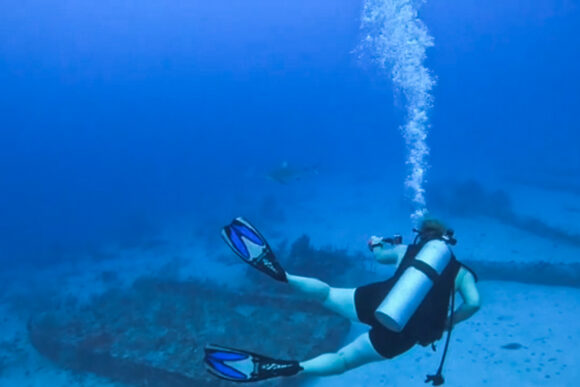 cindy diving with caribbean reef shark